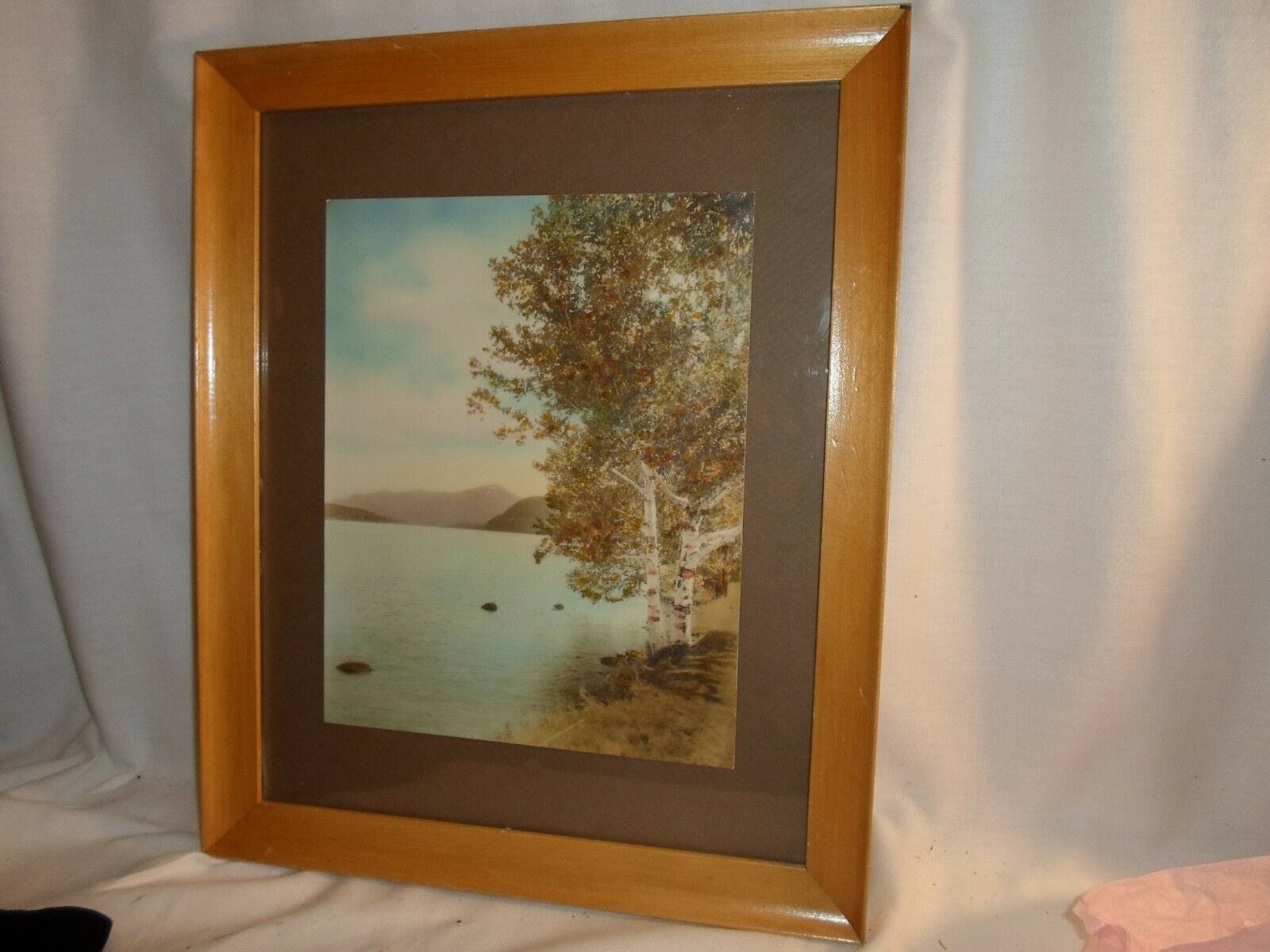 Wood Frame, Mountain Lake With Aspen, 10 By 12.5 In. ,no. 1291