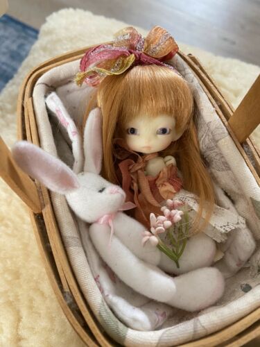 Fidelina Firefly Faerie Fairy Tiny Gid Bjd By Charles Creature Cabinet With Box